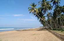 ROYAL PALMS 5* Kalutara 