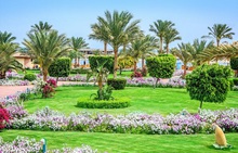 DESERT ROSE RESORT 5* 