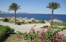 CORAL BEACH RESORT TIRAN 4*   