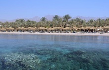 SHARM DREAMS RESORT 5* (ex. HILTON)   