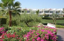 MONTE CARLO SHARM RESORT & SPA 5* (ex. THE RITZ CARLTON)   