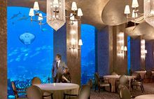 ATLANTIS THE PALM 5*Deluxe - 