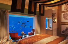 ATLANTIS THE PALM 5*Deluxe - 