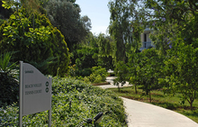 HOTEL SAMARA 5* Бодрум, Торба