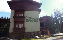 WELLNESS HOTEL BOROVICA 4*,  