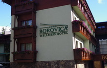 WELLNESS HOTEL BOROVICA 4*,  